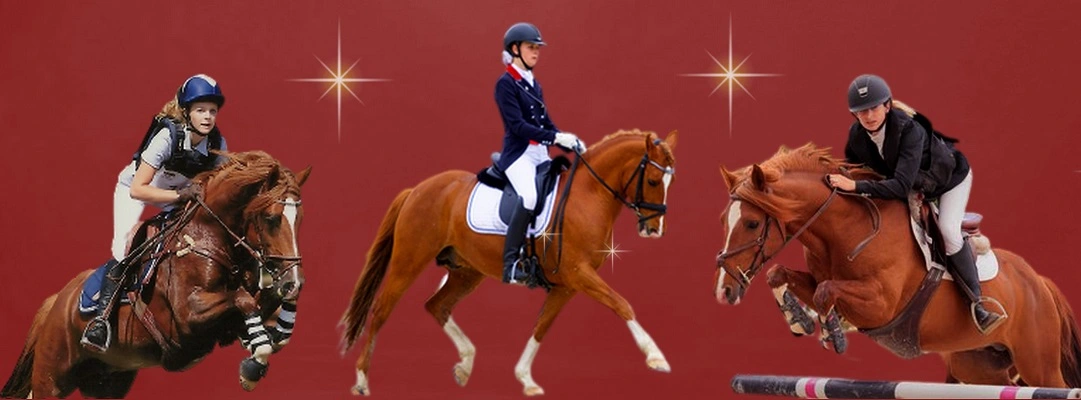 Sauvage des Morins, en CCE, dressage et CSO